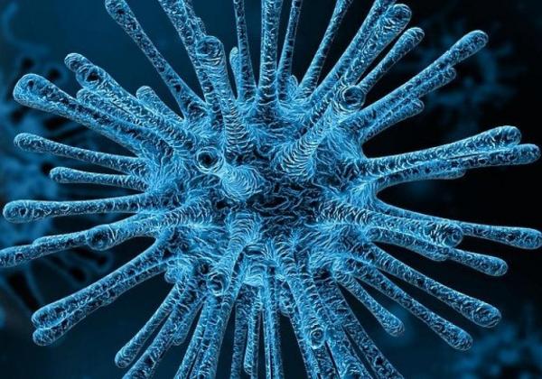 Coronavirus